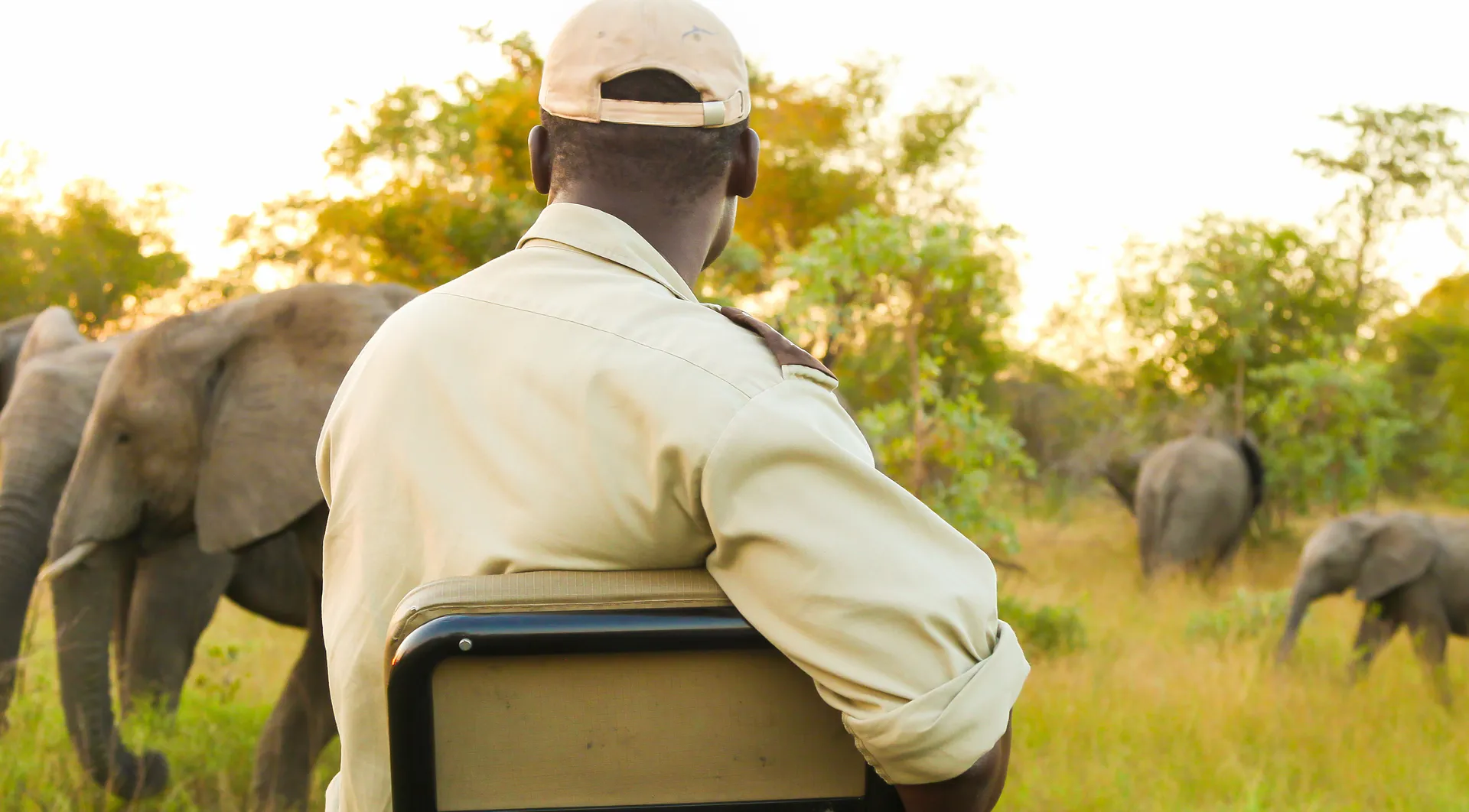 East African landscape