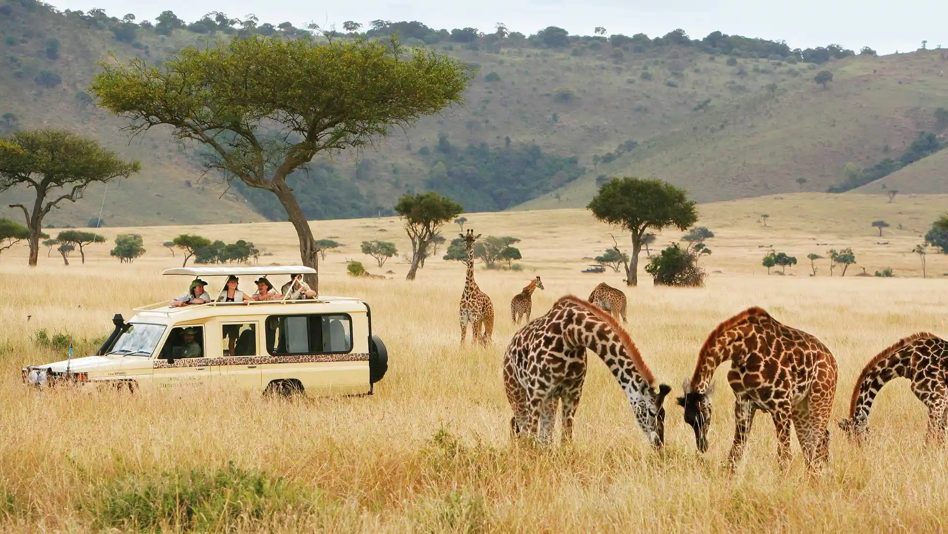 Safari experience in East Africa