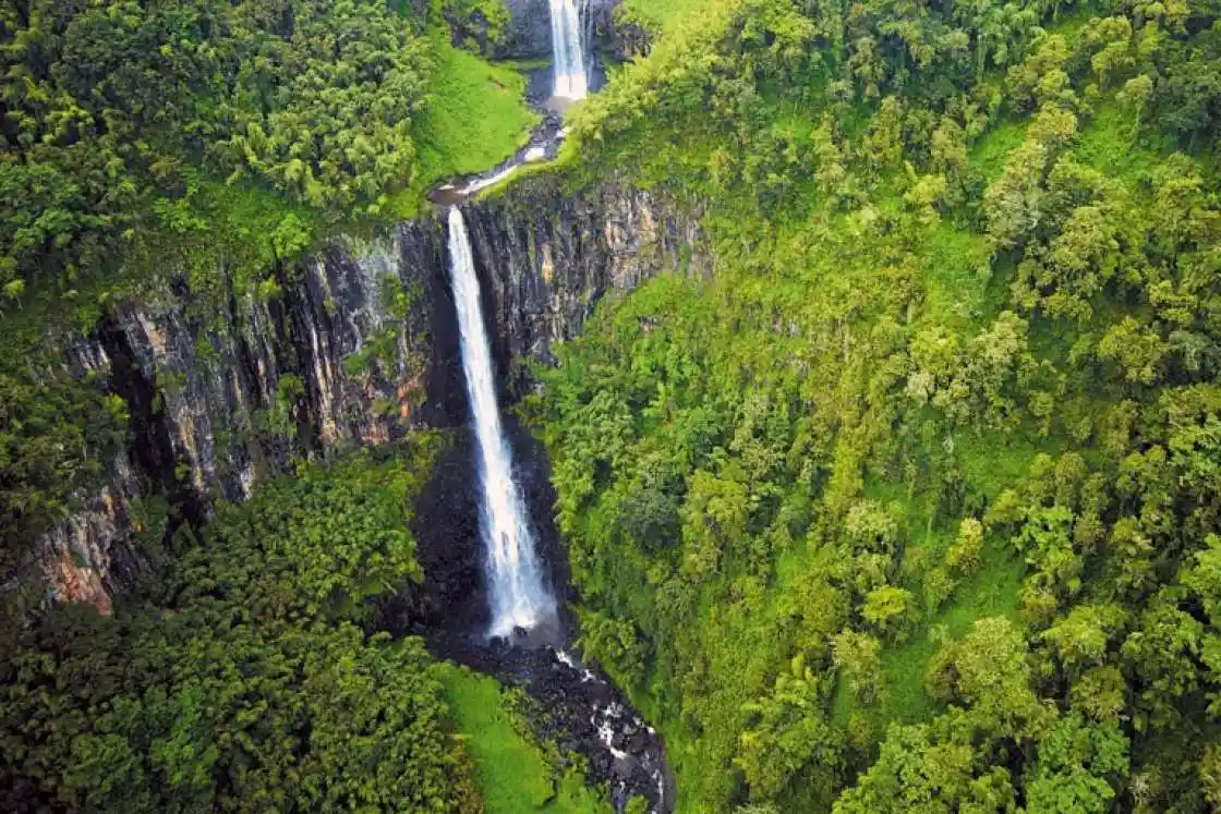 Aberdare Ranges - misty mountain forest and waterfalls