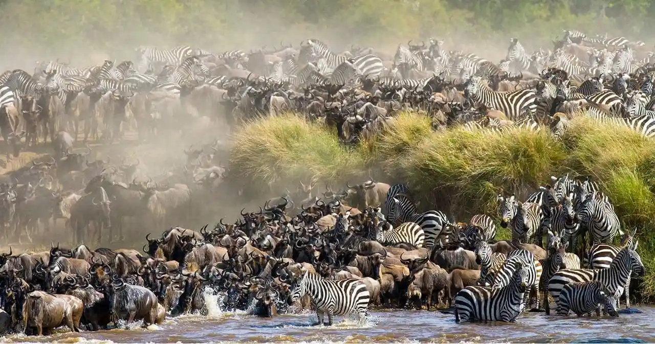 Great Migration Trail