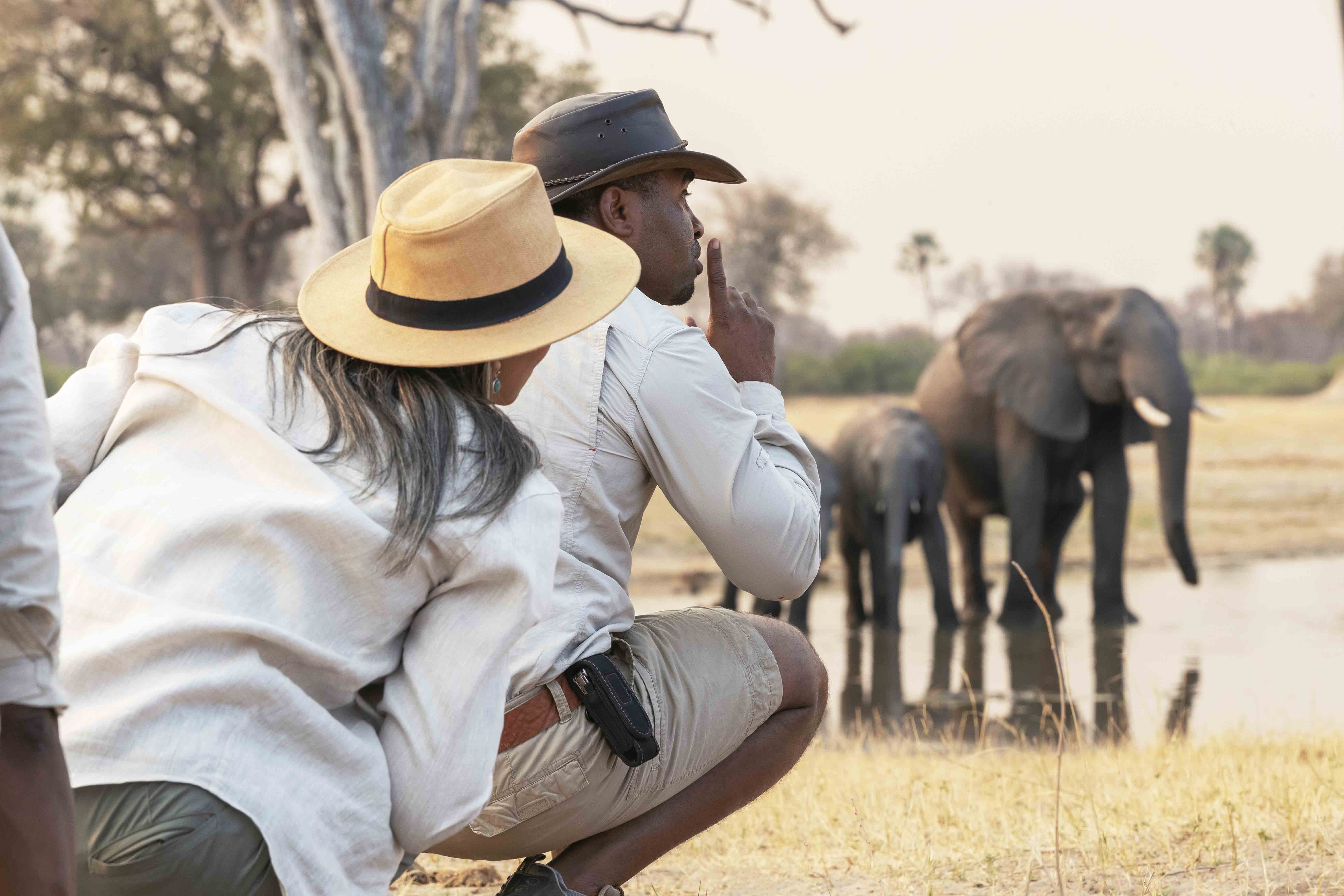 Expert Safari Guides