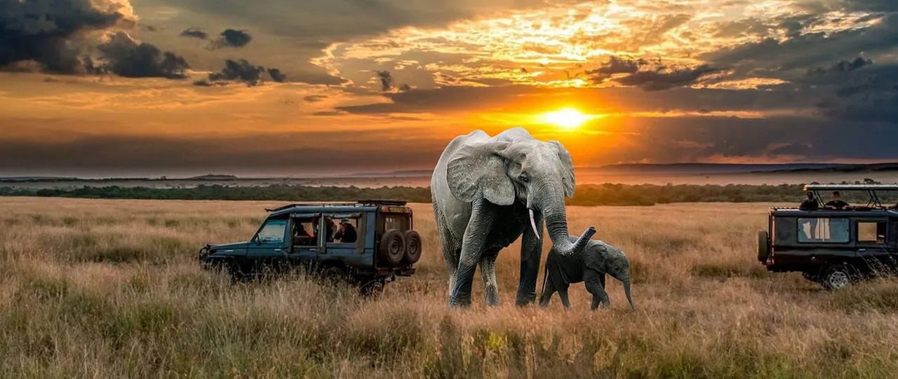 Kenya & Uganda Safari