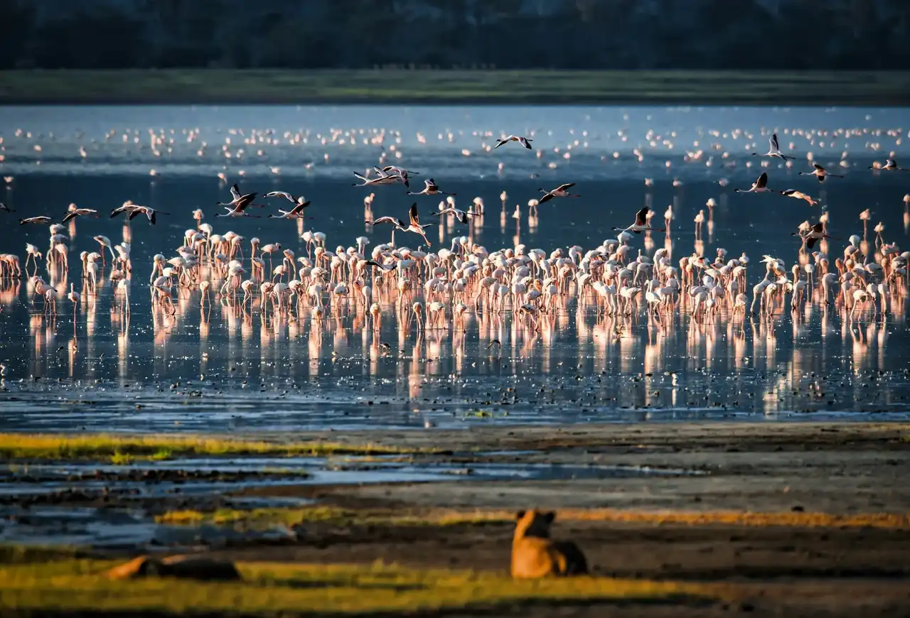 Lake Manyara National Park