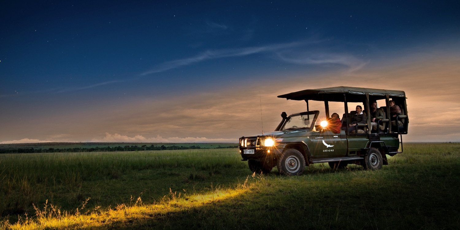 Night Game Drive