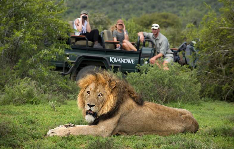 Private Game Drives