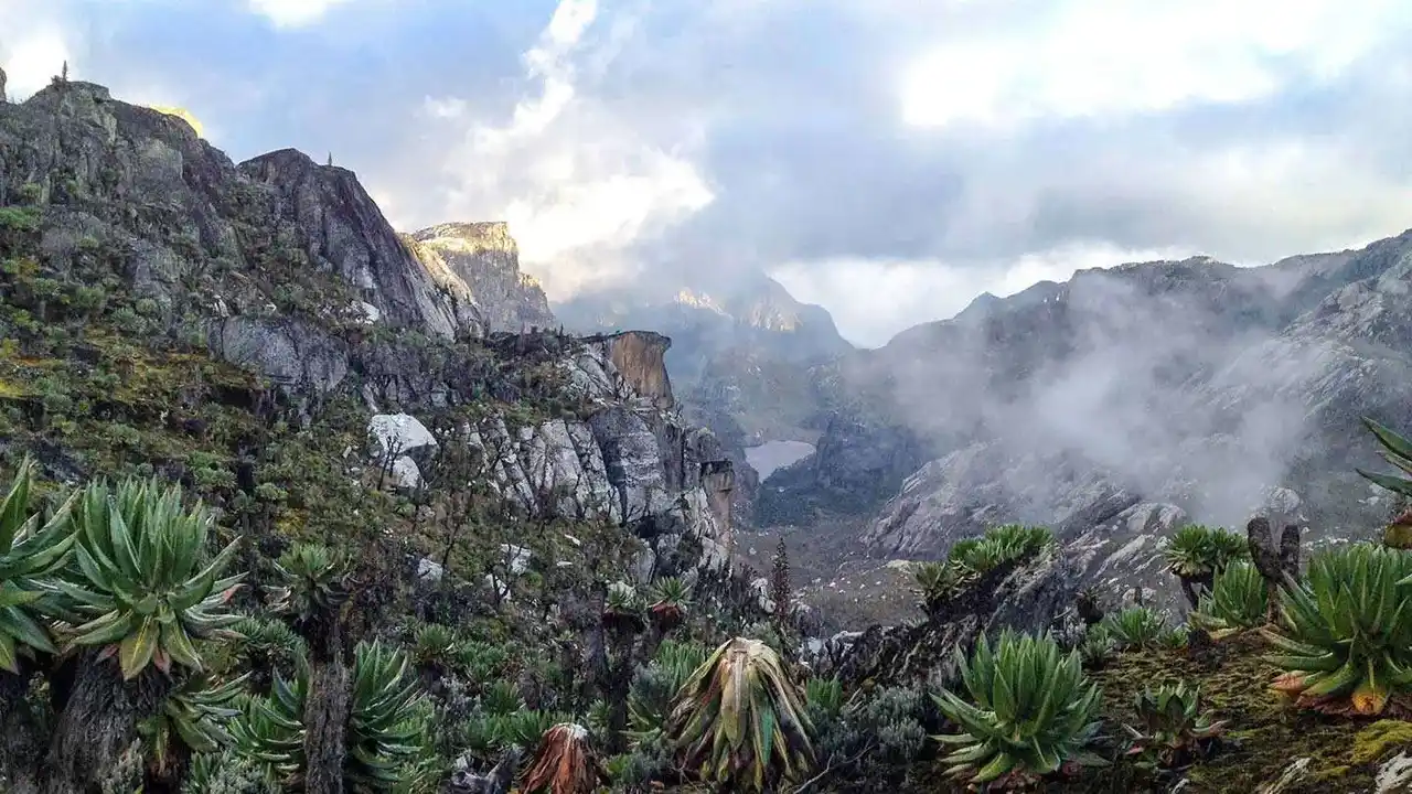 Rwenzori Mountains