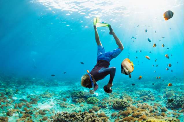 Water Sports & Snorkeling